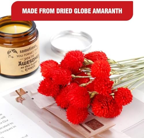 MIHUAGE Dried Globe Amaranth Flower with Wheat Straw 40PCS Bouquet for Vase Home Decor Party DIY Arrangement(Bright Red)