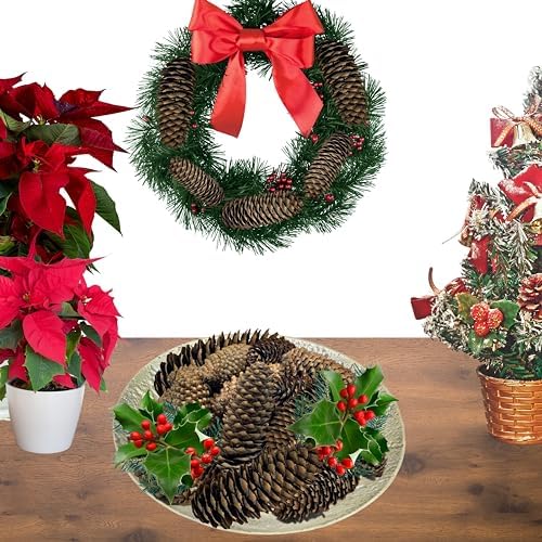 Spruce Pine Cones Set of 24, Natural Large Pinecones 3.5"–4.5", Rustic Pine Cones for Christmas Decorations, Vase Filler, Holiday Centerpieces, Winter Wreaths, Garland, Bowl Filler & DIY Crafts