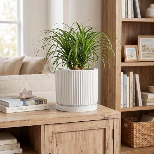 8 Inch Pots for Plants, Ceramic Plant Pots with Saucer, White
