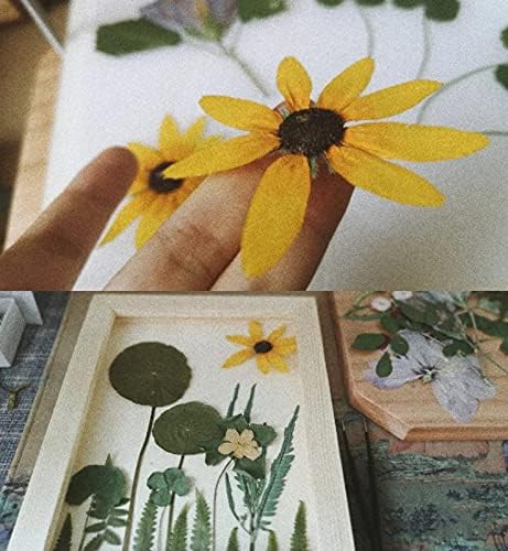 60 Sheets Flower Press Refill 15.7inchx11.8inch Lining Paper