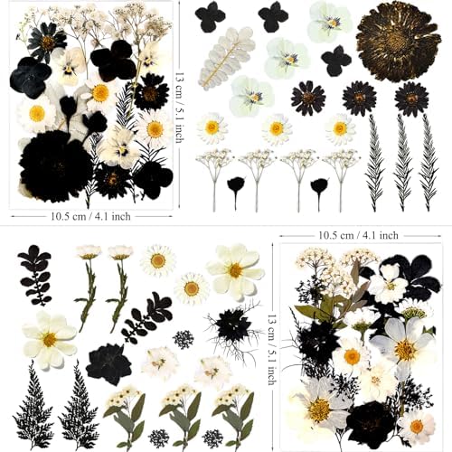 MIKIYA 90Pcs Black Pressed Dried Flowers for Resin Molds, Real Natural Bulk Dry Floral Leave for DIY Art Crafts, Epoxy Jewelry, Candle, Soap Making, Nails Decors Gifts