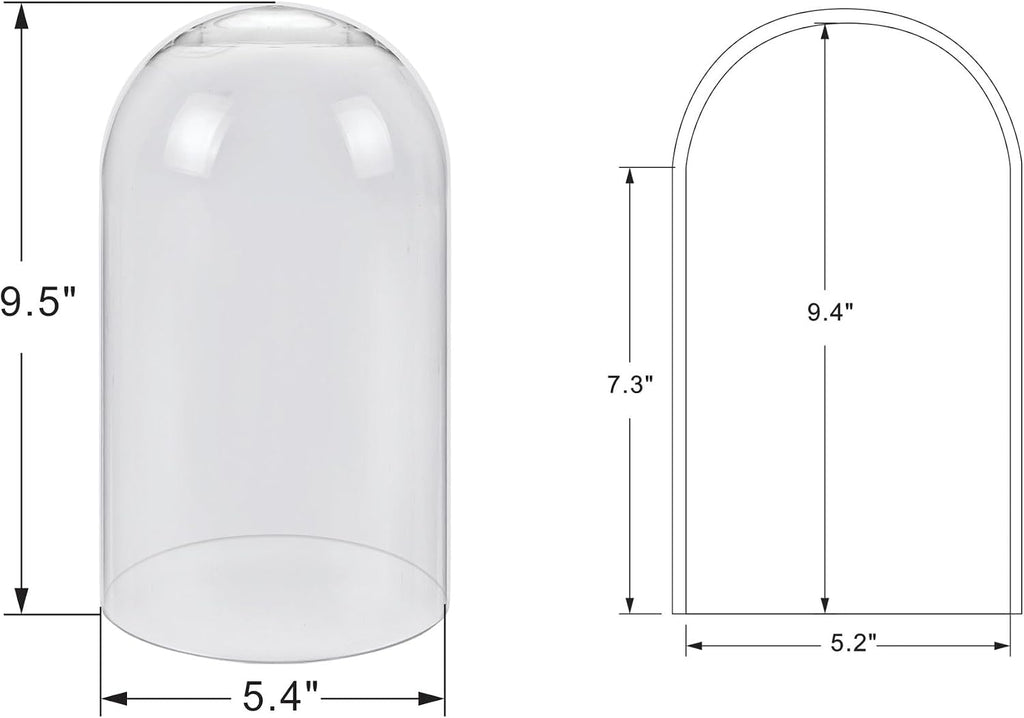 10" Tall Clear Glass Display Cloche, Dome Shape for Terrarium, Plants, Trinkets, Cakes, Figurines, LED Light String