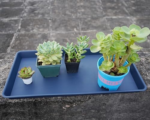 VUWEZ 2 Pack Plant Growing Nursery 1020 Trays, Plant Saucer Tray, Heavy Sturdy Seed Starting Trays, Plant Starter Trays for Indoors No Holes, Seed Starter Growing Tray (22"x11.2", Blue)