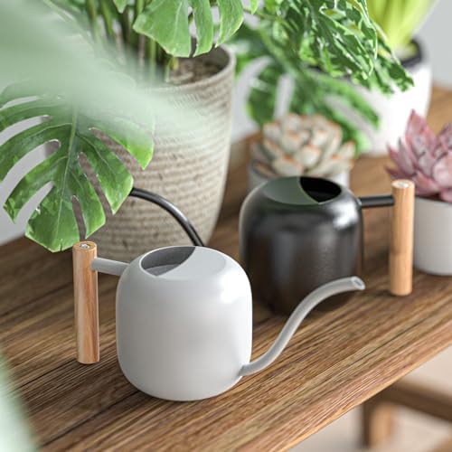 Green Moon 1.2L/41oz Metal Metal Watering Can with Long Spout, Black