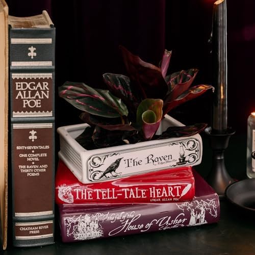 Steel Mill & Co. Book-Shaped Decorative Planter, Edgar Allan Poe