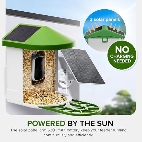 Birvio™ Smart Bird Feeder with Camera, Solar Powered, 1080P HD WiFi Live Stream, AI Bird Identification, Instant Motion Alerts