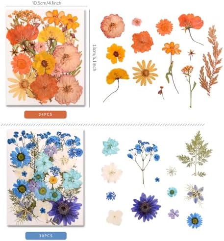 182 PCS Real Pressed Dried Flowers and Leaves for DIY Crafts