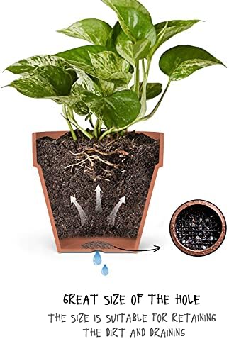LE TAUCI Plant Pot Drainage Hole Mesh Pads, 2-Inch, 100-Pack