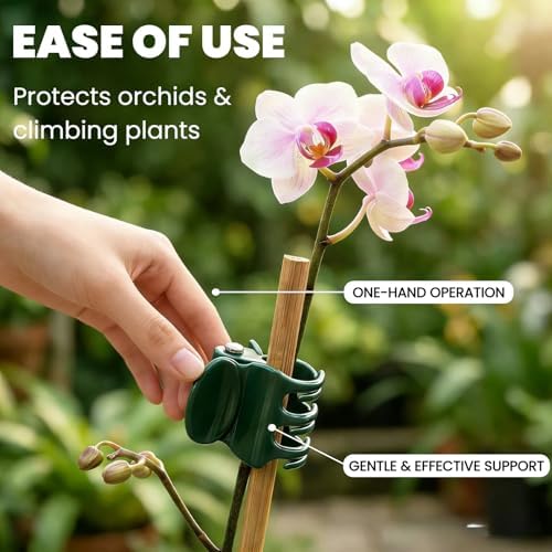 60 Pcs Dual‑Size Orchid Clips, Dark Green Plant Stem Support Clips