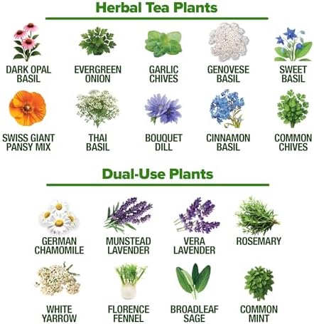 HOME GROWN Herb Seeds 32 Medicinal Herbs and Tea Variety Pack – Annual & Perennial Herb Seeds for Planting Indoors & Outdoor – Non-GMO, Heirloom Seeds, Easy to Grow, High Germination Garden Kit