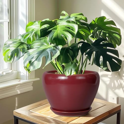 Ceramicfor 10 Inch Plant Pot, Ceramic Planter, Red