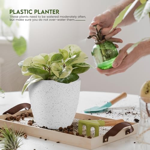 Plant Pots Indoor with Drainage 5 Pack Multi-Size Planters Set Spotty Grey
