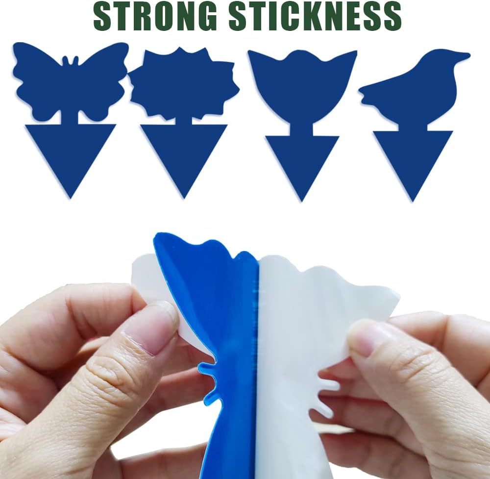 36 Pack Fungus Gnat Traps for House Plants, Blue Sticky Traps for Indoor Outdoor Use to Get Rid of Whitefly Mosquitoes