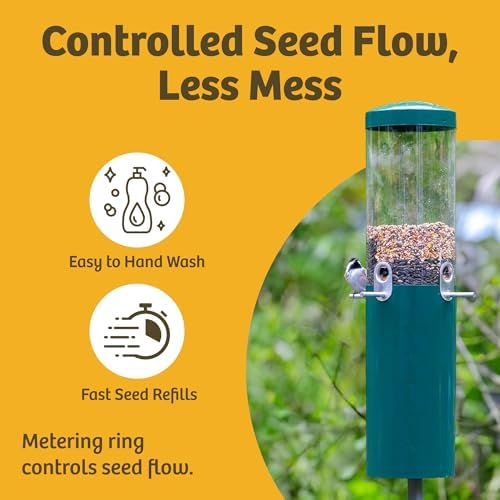 Birds Choice Classic Squirrel Proof Bird Feeder with Pole Mount | Tube Bird Feeder for Cardinals, Chickadees, Woodpeckers | Sturdy Steel for Long-Lasting Use | Backyard Bird Seed Dispenser | Green