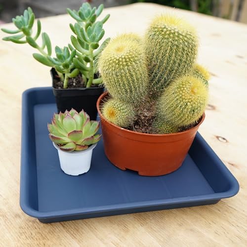 VUWEZ Rectangle Plant Tray, Plant Drip Tray, Plant Pot Saucers, Plant Germination Trays, Plant Saucers, 17.5'' x 10.6'' x 1.5'' (2 pack), Blue