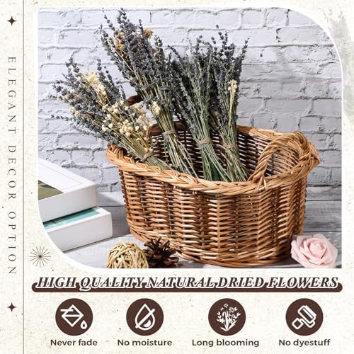 Layhit 4 Pack Large Size Boho Dried Flowers 15-17 Inch, Lavender