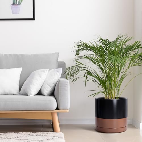 D'vine Dev 12 Inch Ceramic Planter Pot, Black/Tan, 94-O-F-7