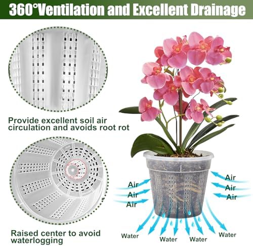 Orchid Pot with Saucers, 6 Packs of 6.1" Orchid Pots with Holes, Orchid Pots for Repotting, Plastic Orchid Planter for Indoor Outdoor Plants (6 Packs, 6.1" with Saucers)