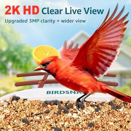 birdsnap® TUC Bird Feeder with Camera Solar Powered 2K Video with 32GB Card