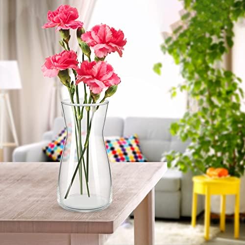 Thenshop 6 Pcs 8'' Tall Clear Glass Flower Vase for Bouquet, Clear