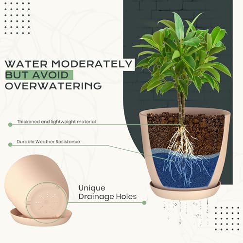 Plant Pots Indoor with Drainage, 10 Pack Multi-Size Planters Set, Pink