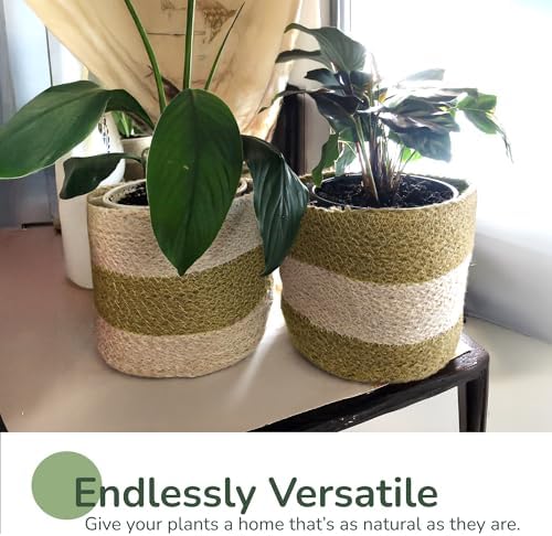 Small Jute Plant Basket, Set of 2, 6.5 Inches, Olive & Natural