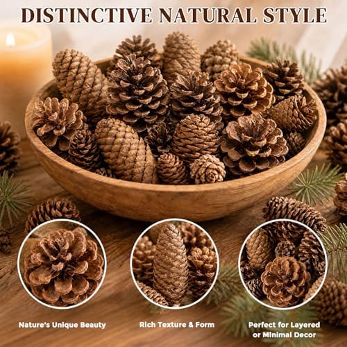JOHOUSE 50 PCS Large Natural Pinecone Ornaments, Pine Cones Bowl Fillers