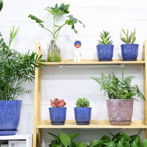 Gepege Ceramic Succulent Pots, 4 Inch Small Plant Pots with Drainage