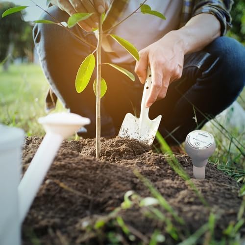 Blumat Moisture Meter for Plants - Accurate Soil Moisture Meter - Easy to Use Advanced Water Meter for Gardening