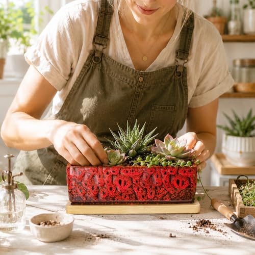 Succulent Pots, 7'' Large Long Rectangle Planters with Drainage Tray