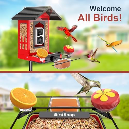 birdsnap® APS Metal Bird Feeder with Camera Solar 2K Video with 32GB Card