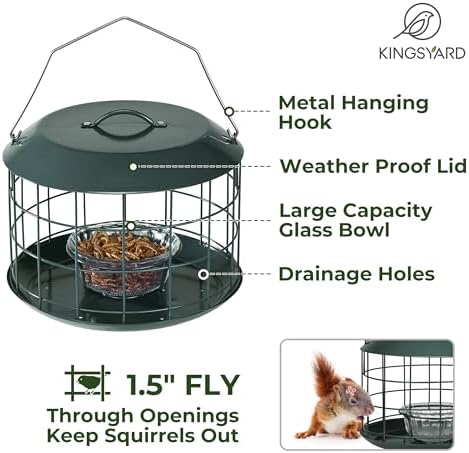 Kingsyard Bluebird Feeders for Outdoors Hanging