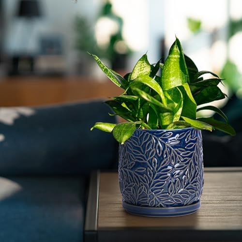 D'vine Dev Embossed Leaves Ceramic Planter, 5 in, Midnight Blue, 27-A-V-3