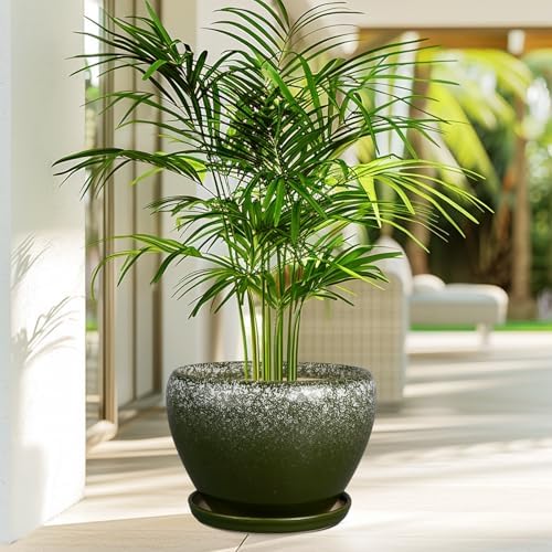 Ceramicfor 10 Inch Planter Pot, Ceramic Pots for Plants, Dark Green