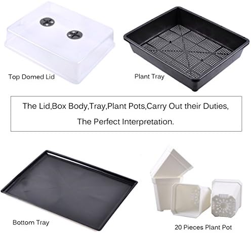 eZAKKA 14.6" x 11.8" Seed Starter Tray Kit with Dome, 20 Cells, White