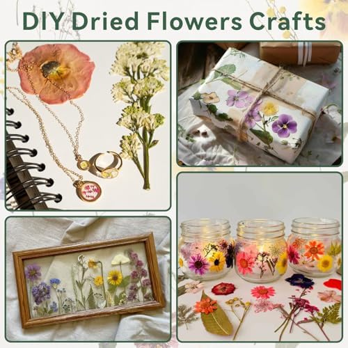 TTUGTTUG Large Flower Press with Frames, 11" x 11" Wooden Flower Press Kit