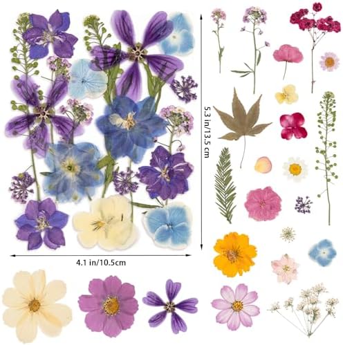80PCS Spring Large Pressed Flowers Leaves , Real Nature Dry Flowers for Resin Craft, Larage Pressing Floral with Tweezers Set for DIY Jewelry Making Nail Card Scrapbook Art