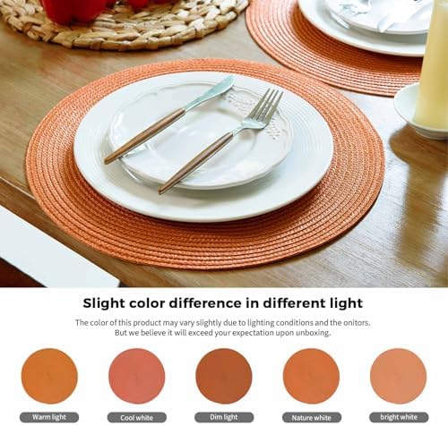 FunWheat Round Braided Placemats Set of 6 Table Mats for Dining Tables Woven Washable Non-Slip Place mats 15 Inch for Fall Decoration(Pumpkin Orange)