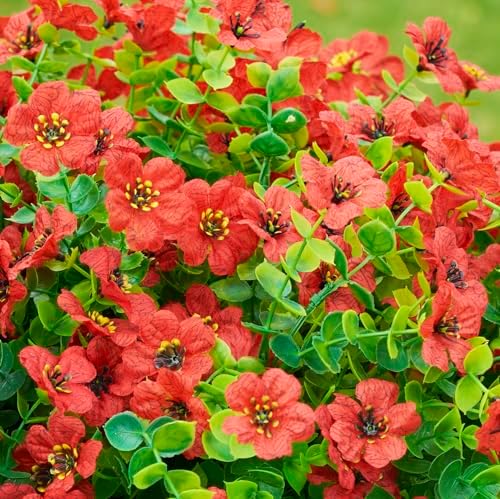 HyeFlora Artificial Flowers for Outdoor Indoor Garden Home Decoration, Faux Flower Daisy with Eucalyptus Leaves Fake Plants Greenery Boxwood Porch Patio, 12 Bundles (Red)