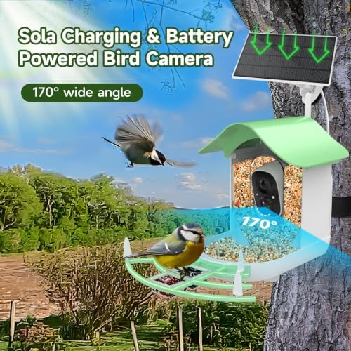 Bird Feeder with Camera Solar,2K HD Live Video Outdoors,Smart AI Identify