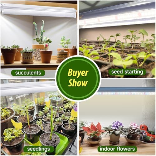 T5 Grow Lights for Seed Starting, 10W x2, Grow Lights for Indoor Plants