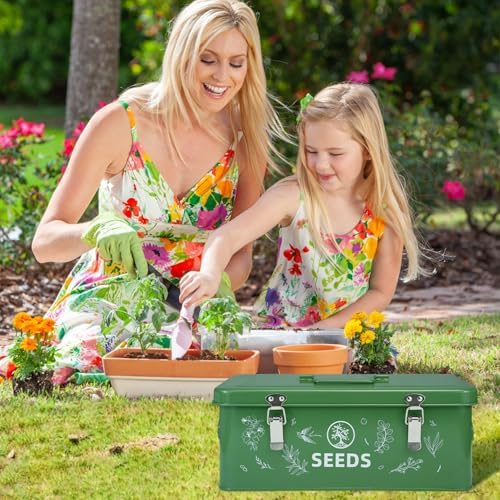 Seed Storage Organizer Box, 4 Compartments, Lockable, Dark Green