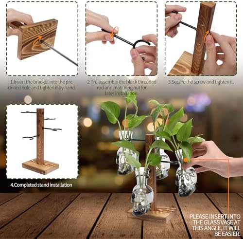 Plants Propagation Stations Skull Glass Propagation Birthday Gift for Women