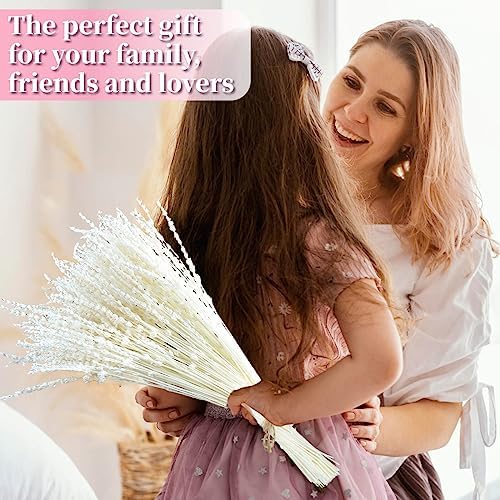Glicrili Dried Lavender Flowers Real Stems White Bouquet for Vase Decor