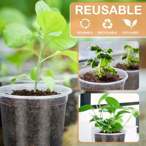 15 Pack Clear Nursery Pots with Drainage Holes, 6 Inch Seed Starting Plastic Plant Pots, Transparent Variety Pack Flexible Garden Pot for Outdoor Indoor (Clear, 6 Inch)