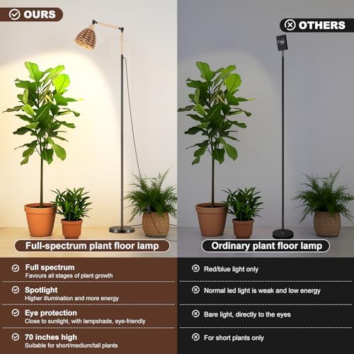 Grow Lights for Indoor Plants Full Spectrum, Plant Lights for Indoor Growing with 30W 4000k, 24H Timer, Standing Tall Grow Lamp for Middle Large Plants(72'', Height Adjustable)