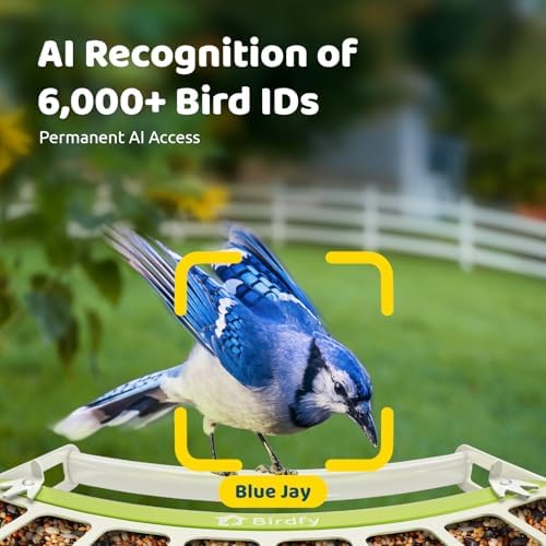 Birdfy Smart Bird Feeder with Camera Solar Powered, Premium Metal Design