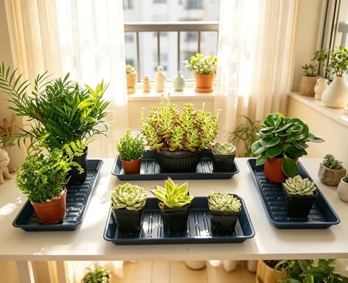 6 Pack Plastic Plant Saucer Rectangular 6 x 11 Inch, Indoor Outdoor Drip Tray for Flower Pot, Windowsill, Black