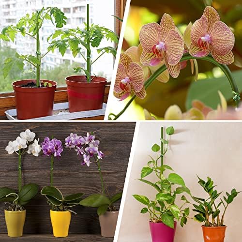 10Pcs Plant Stakes, 15IN Orchid Support Stakes for Indoor Plants