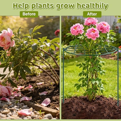 6 Pack 16 x 24 in Peony Cages and Supports for Outdoor Plants